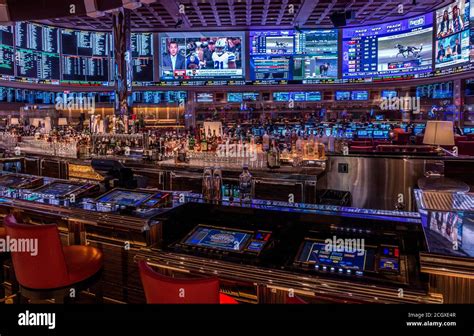 bet vegas casino.